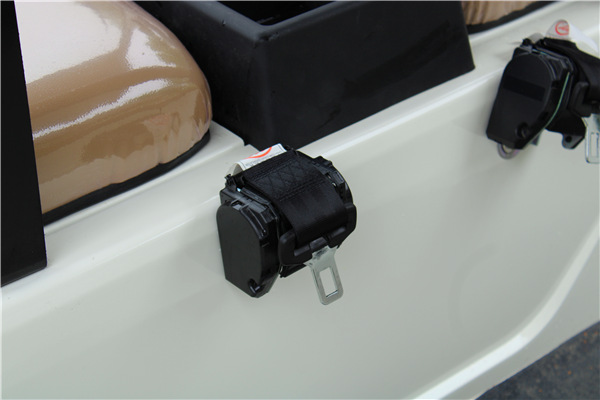 11座電動觀光車-安全扣